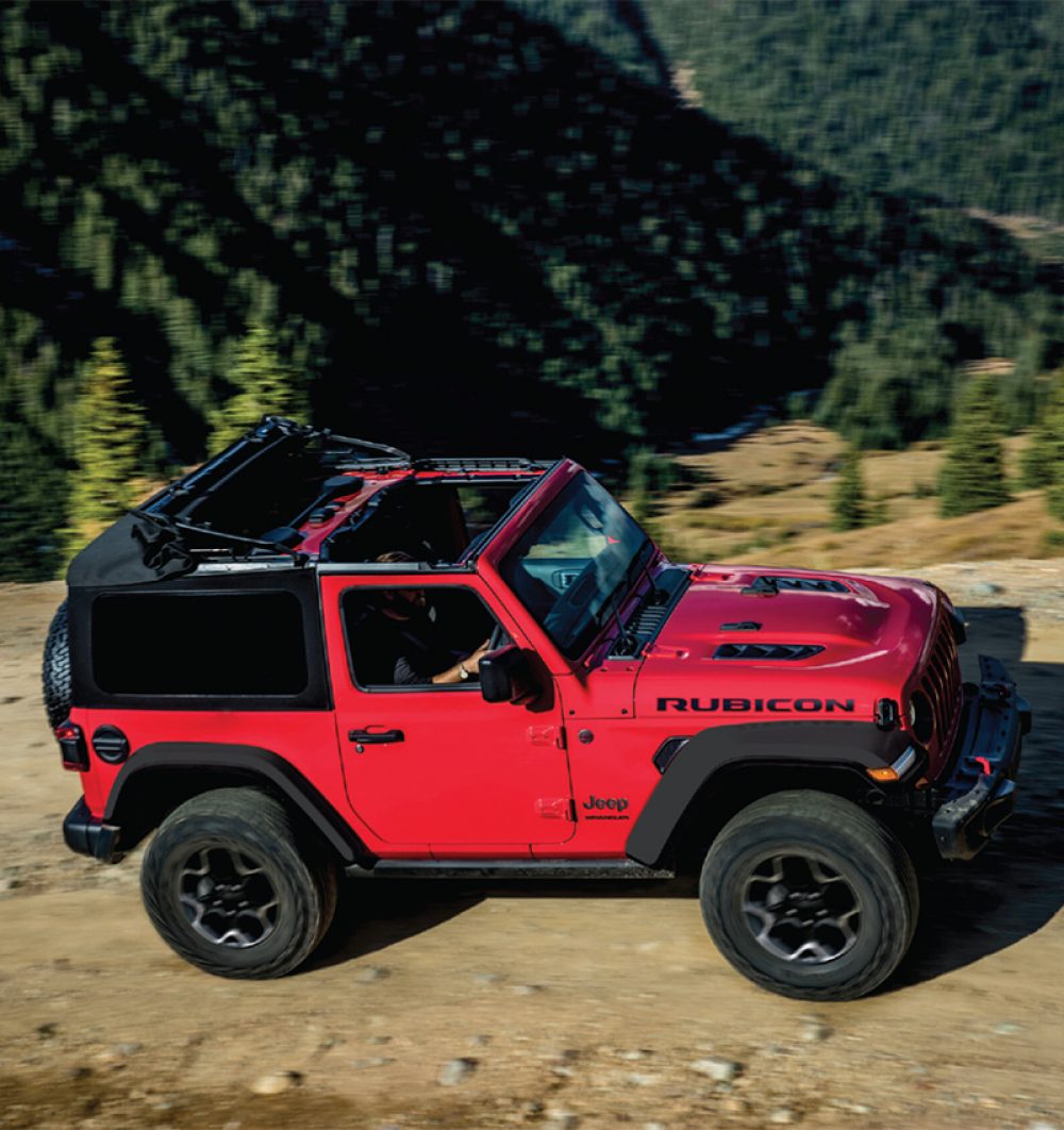 Gallery 4